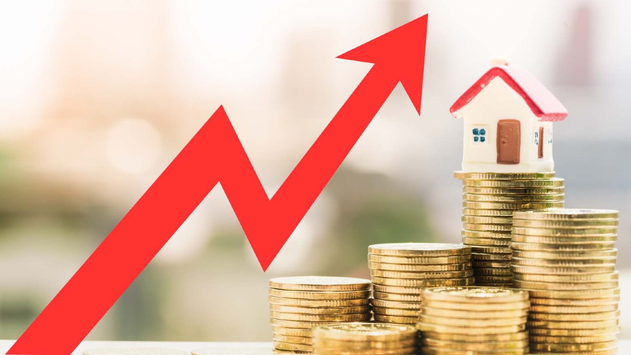 Sebrae Germina: O novo fôlego para startups e o mercado de venture capital