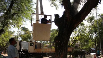 Pesquisador utilizando equipamento de escaneamento a laser em árvore urbana.